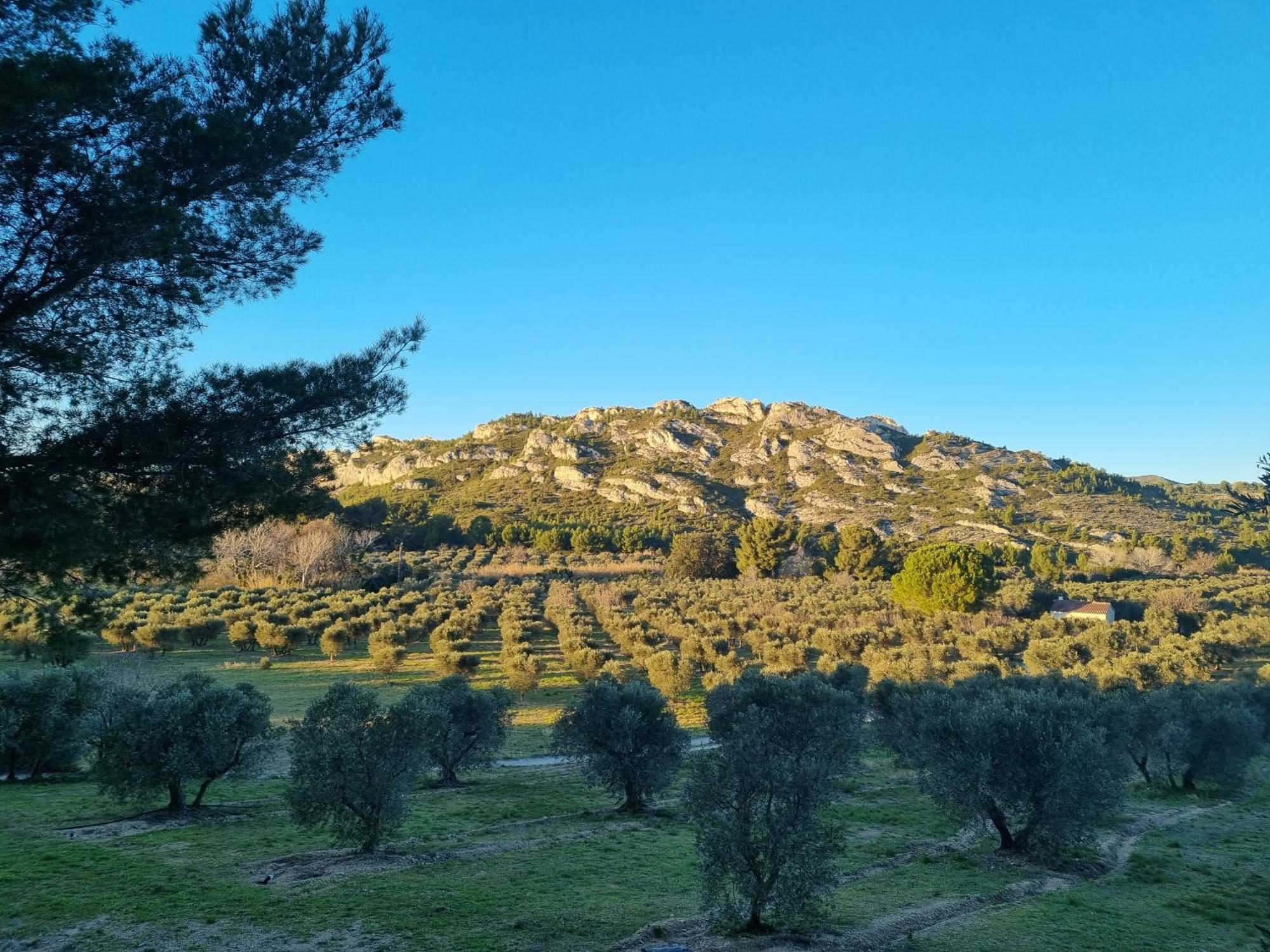 Les Garrigues De La Vallee Des Baux Paradou Exterior foto