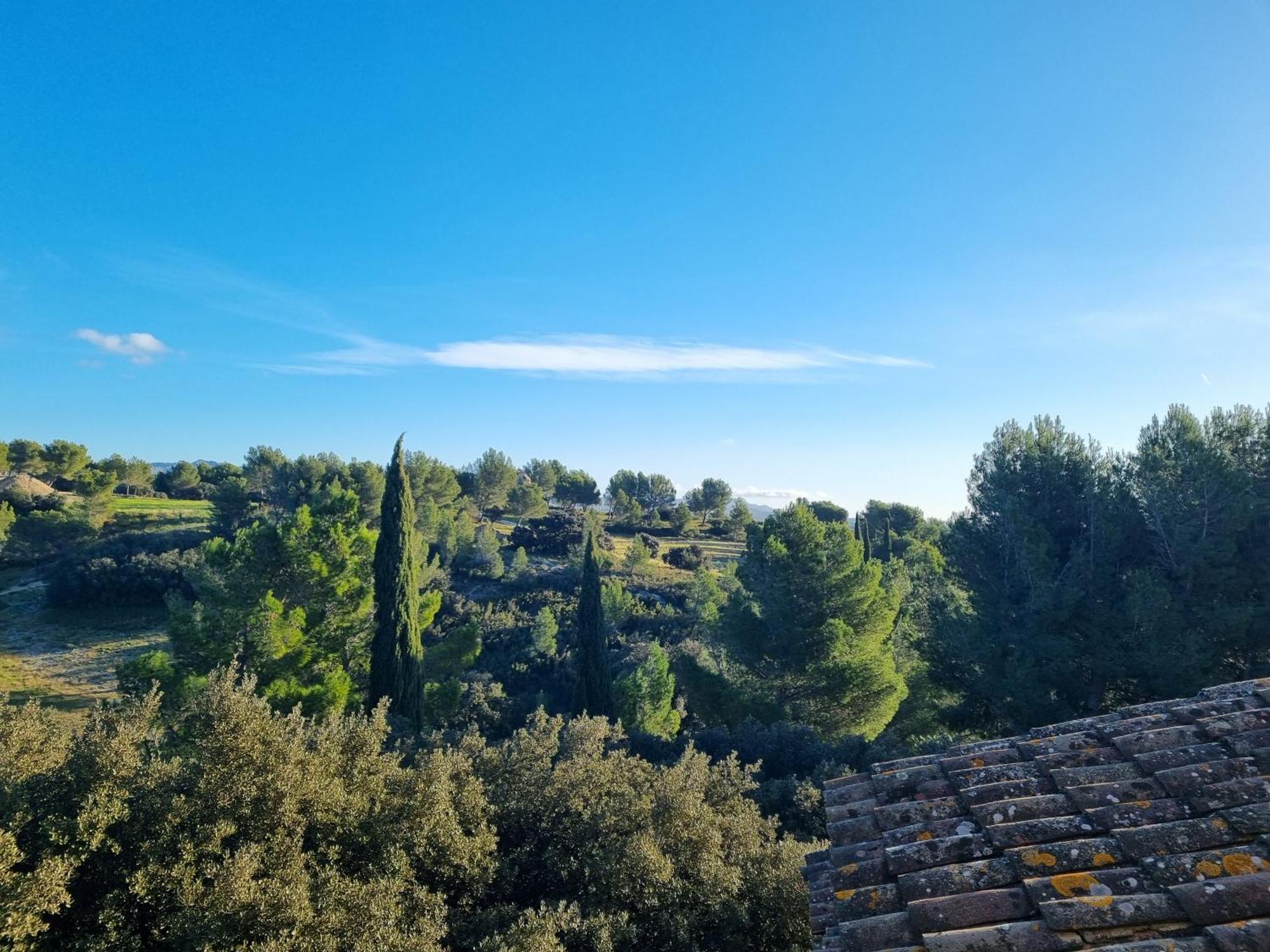 Les Garrigues De La Vallee Des Baux Paradou Exterior foto